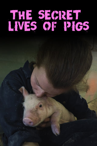 The Secret Lives Of Pigs